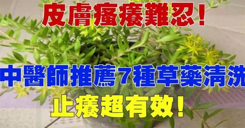 醫師推薦 7 種草藥清洗,止癢超有效哦! !