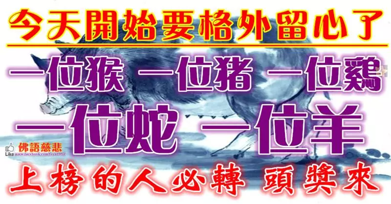 今天開始要格外留心了,一位猴,一位豬,一位雞,一位蛇,一位羊~必須轉啊~