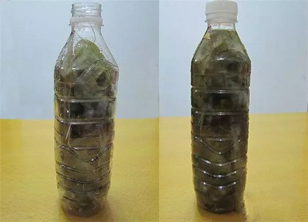 蝦買多了怎辦?教你一招,靠這樣保存放再久也不怕蝦頭變黑,別再傻傻直接放冰箱了!