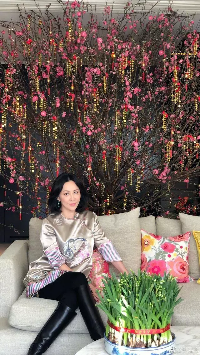 明星生活太奢華,劉嘉玲、王祖藍豪宅超級大,可以踩自行車!