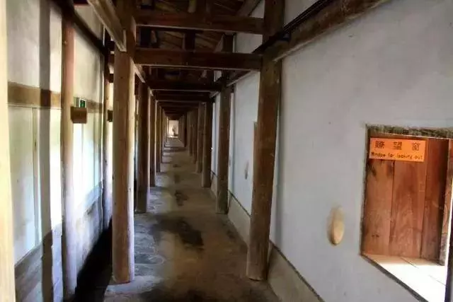 奇蹟!藏在深山的「神秘古堡」:漂浮沼澤上百年,無人居住卻不見蜘蛛網!