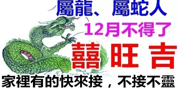 「屬龍屬蛇」人:2019年是「上上等運勢」哦!家裡有這2個生肖的快來接吧,不接不靈!