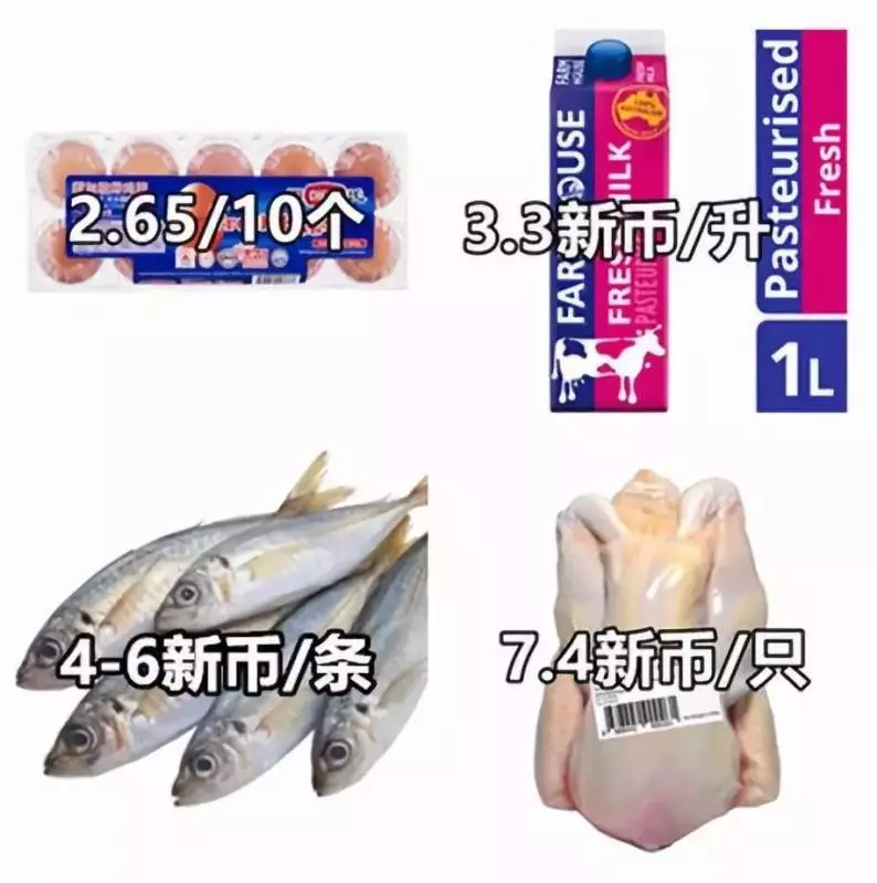 以2019年最新消費標準算 一個中國人在新加坡生活要花多少錢