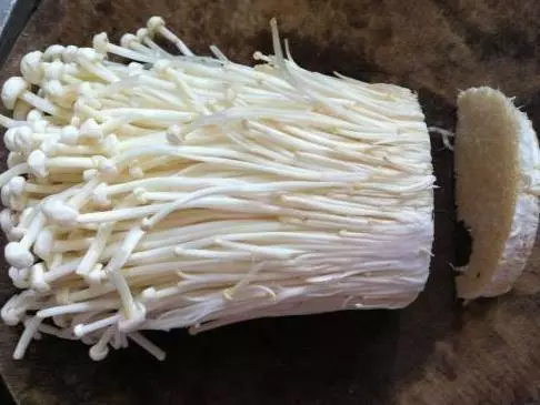 「金針菇頭」別再丟了,簡單幾步家種出金針菇,一周就有大豐收不信試一試