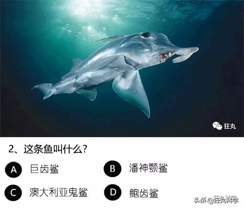 答對一半就算你是考試鬼才,就這24道題我想了一年