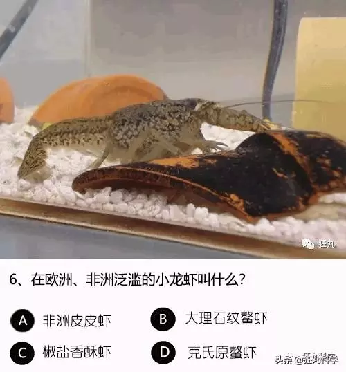 答對一半就算你是考試鬼才,就這24道題我想了一年
