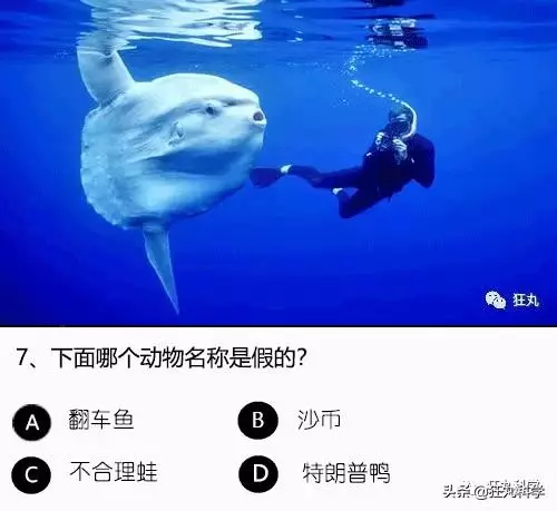 答對一半就算你是考試鬼才,就這24道題我想了一年