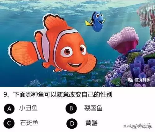 答對一半就算你是考試鬼才,就這24道題我想了一年