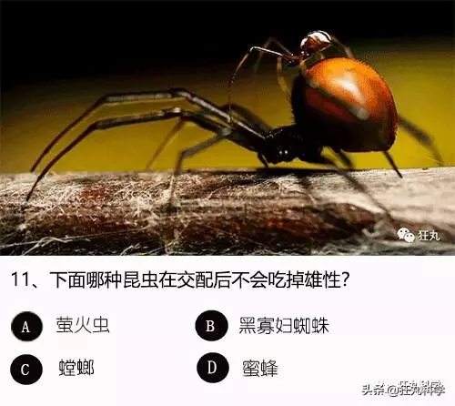 答對一半就算你是考試鬼才,就這24道題我想了一年