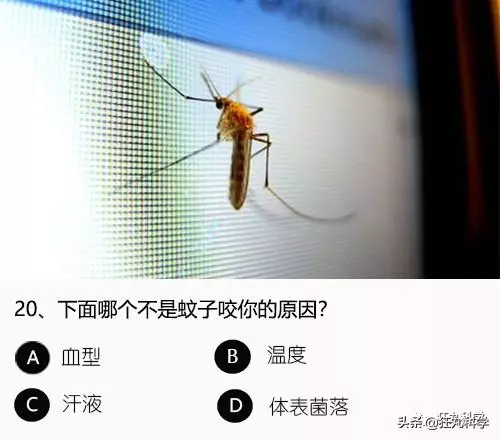 答對一半就算你是考試鬼才,就這24道題我想了一年