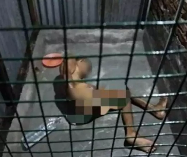 老人有3子女,中風後竟被關在「鐵籠」里!身旁只有水和空盤子,兩名子女就在大馬工作!