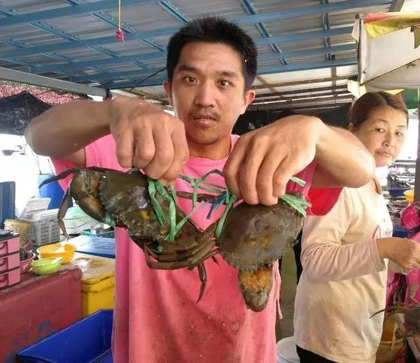 今年別吃了,斗底魚漲價高達100%