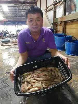 今年別吃了,斗底魚漲價高達100%