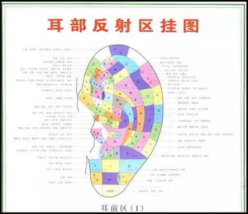 睡前黃金10分鐘,對耳朵做「4個動作」,你將有令人羨慕的好身體