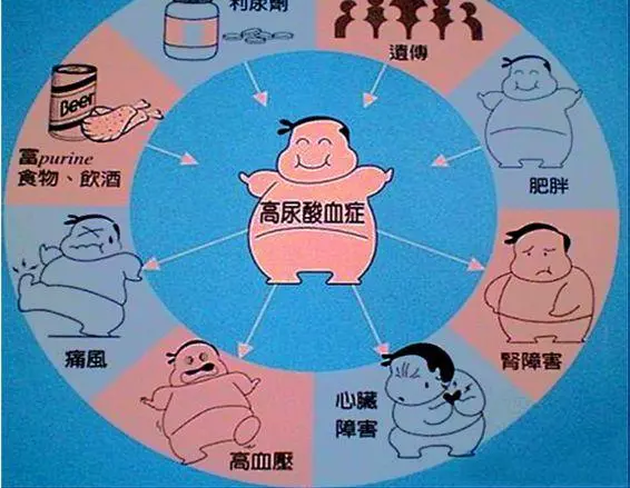 痛風飲食最關鍵!醫生提醒:別碰這幾物,否則你離輪椅不遠了