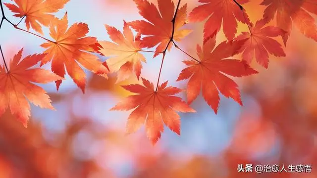 人這一生,貴在心安!