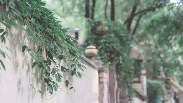 2019你應該做好三件事:旅行,讀書,愛自己……