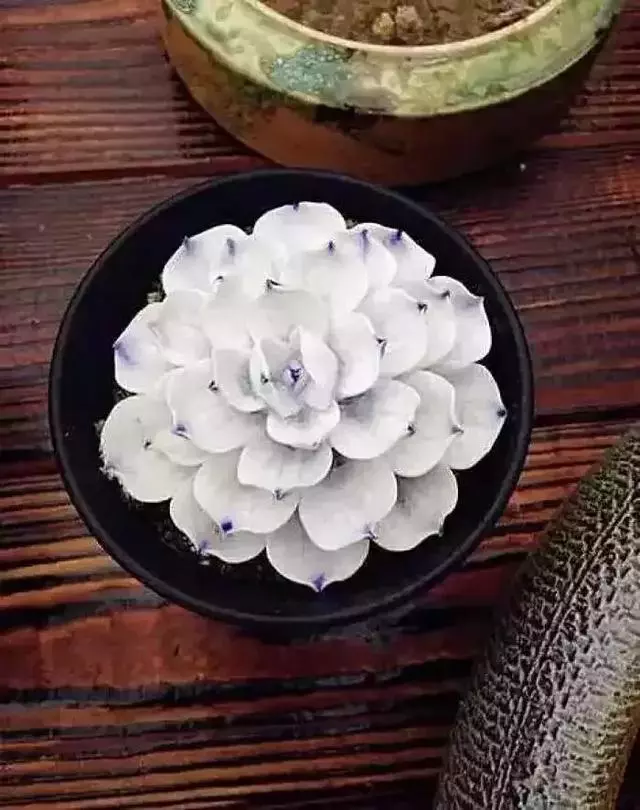 不生氣,你就贏了(深度好文)