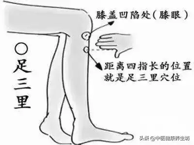 養胃秘籍!三分治,七分養!記得收藏!
