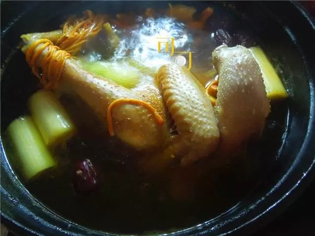 只要加了這種食材,就能燉出香濃好看的雞湯,冬天多燉給家人喝