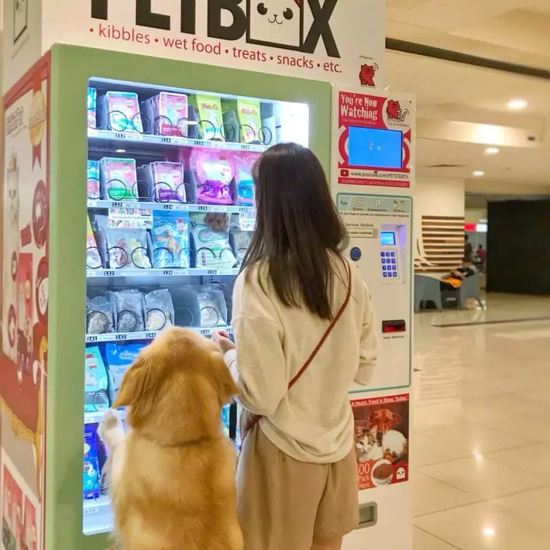 點讚!The School by Jaya One為大馬少有pet-friendly商場,帶毛小孩去逛街不再是夢啦!