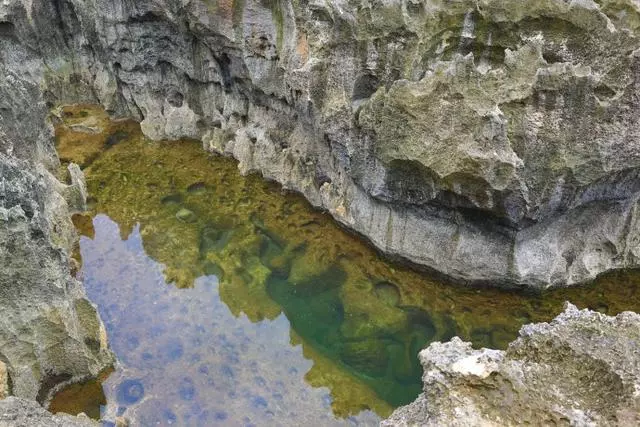 巴厘島不是一個島,巴厘島是一個島,巴厘島不僅僅是一個島
