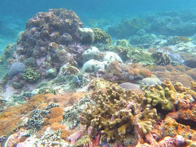 巴厘島不是一個島,巴厘島是一個島,巴厘島不僅僅是一個島