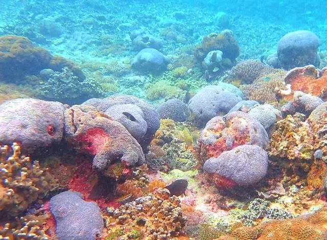 巴厘島不是一個島,巴厘島是一個島,巴厘島不僅僅是一個島