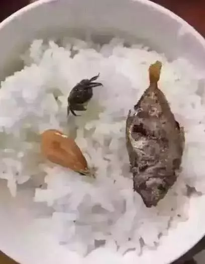 吃貨為了證明自己窮,竟然如此有想法,最後這一張圖好笑
