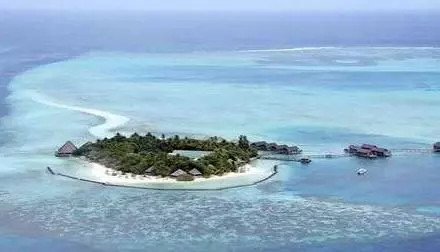 世界上「最便宜」島嶼:僅售4300元仍賣不掉,竟是因為80多隻綿羊!