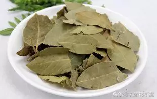 【超實用】趕走蟑螂的妙方:家中準備這一片葉子,從此家裡不再有蟑螂!