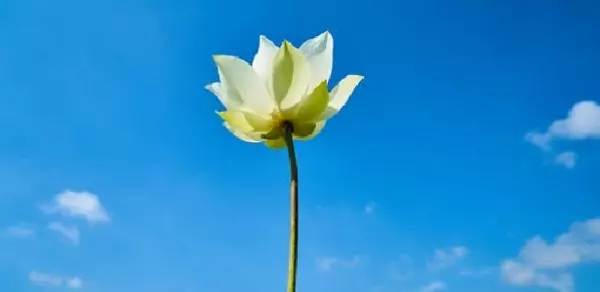 不要以為捐錢就叫做布施!沒誠心,就算捐再多錢也沒有用!