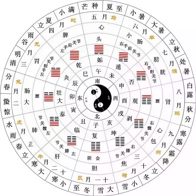 中醫圖譜:全,建議收藏