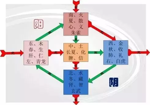 中醫圖譜:全,建議收藏