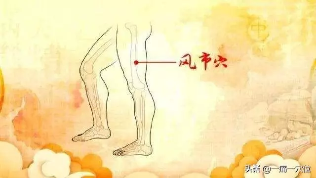 風市穴——可做到利肝的功效,常按此穴可以調理肝部症狀!
