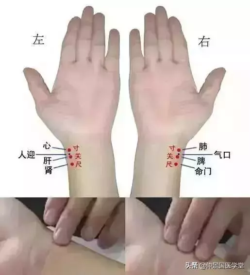 中醫「把脈」的原理是什麼?掌握這五條秒懂!
