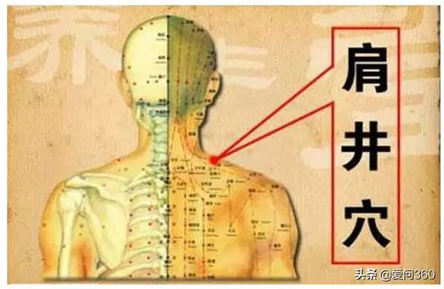 長期肩膀酸痛會造成關節炎,這3個穴位放鬆你的肌肉筋骨