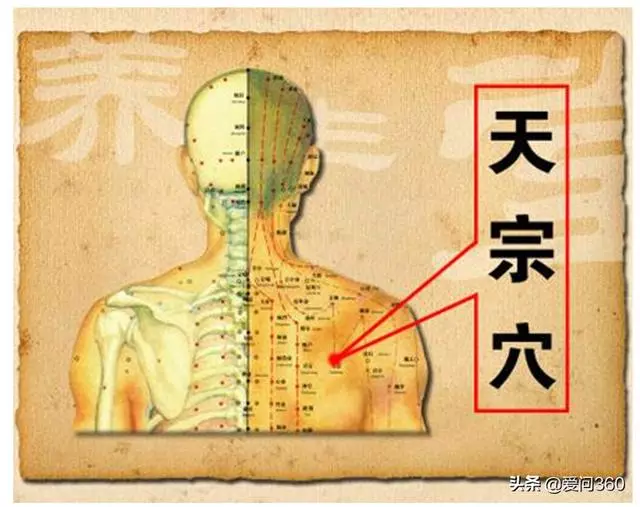 長期肩膀酸痛會造成關節炎,這3個穴位放鬆你的肌肉筋骨