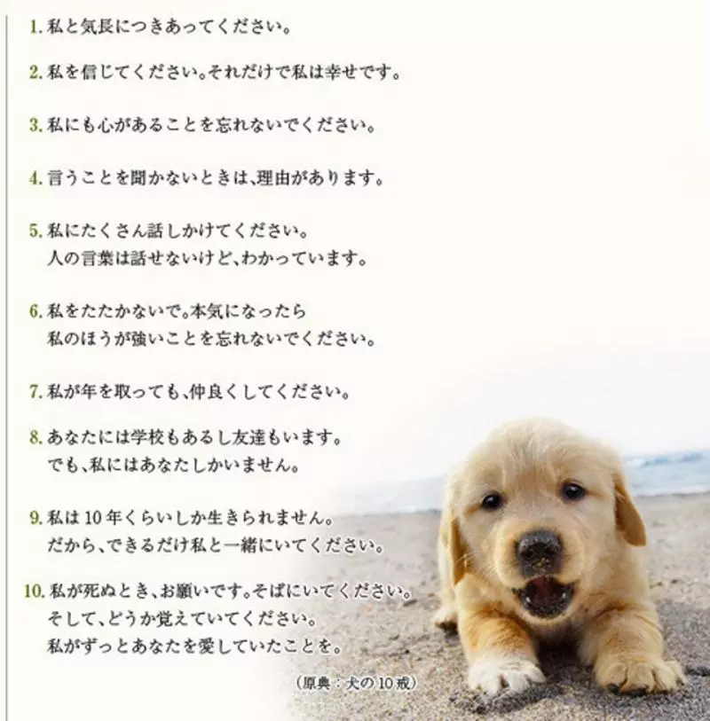 8部「連硬漢都想哭的」超催淚狗電影 看之前先拿3包衛生紙!