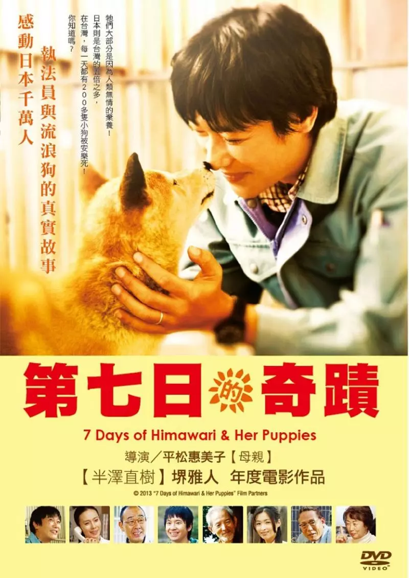 8部「連硬漢都想哭的」超催淚狗電影 看之前先拿3包衛生紙!