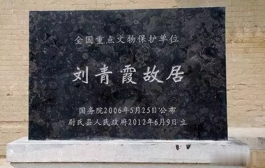 她沒生下一兒半女,丈夫死後她借腹生子,繼承丈夫的千萬家產