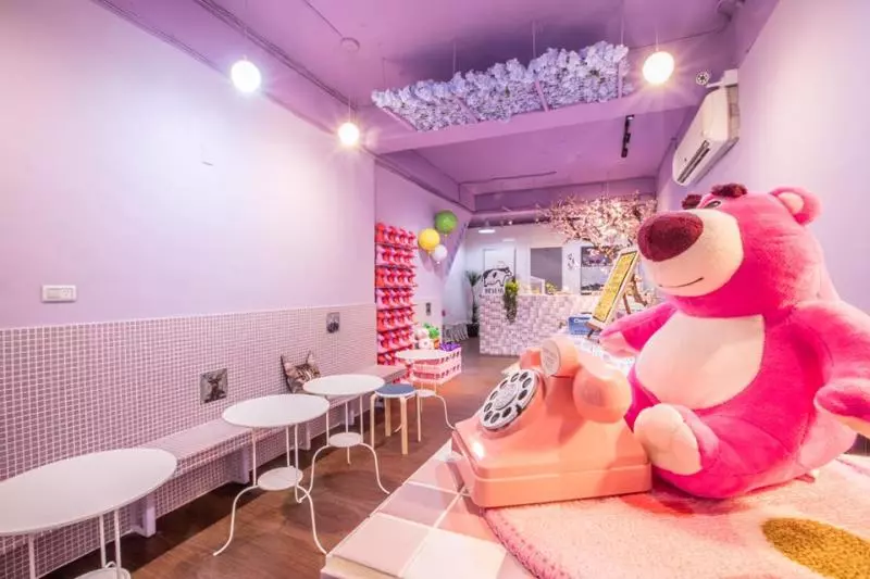 人家等好久...苦臉小花貓坐早午餐店「等吃霸王餐」 網友起鬨:叫牠洗乾淨身體來當工讀生啦!
