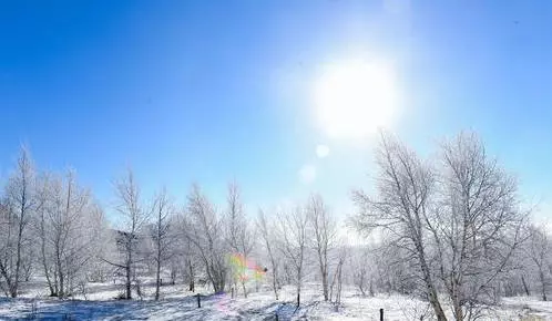 2019年偏財運最好的7個生肖,一定有你