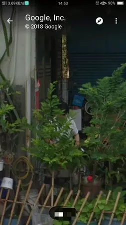 巨大洋蔥!滑Google街景才發現「媽媽其實一直守著家」 她瞬間淚崩:想妳了...