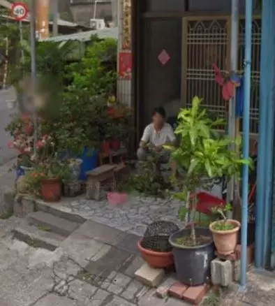 巨大洋蔥!滑Google街景才發現「媽媽其實一直守著家」 她瞬間淚崩:想妳了...