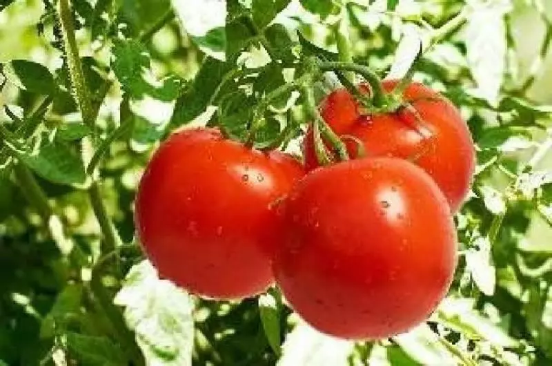 月經來的越來越少?多吃這3種食物,保養子宮~