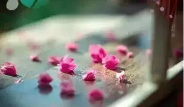 不是我變了,是你沒珍惜!