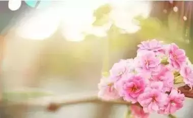 不是我變了,是你沒珍惜!
