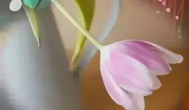 不是我變了,是你沒珍惜!