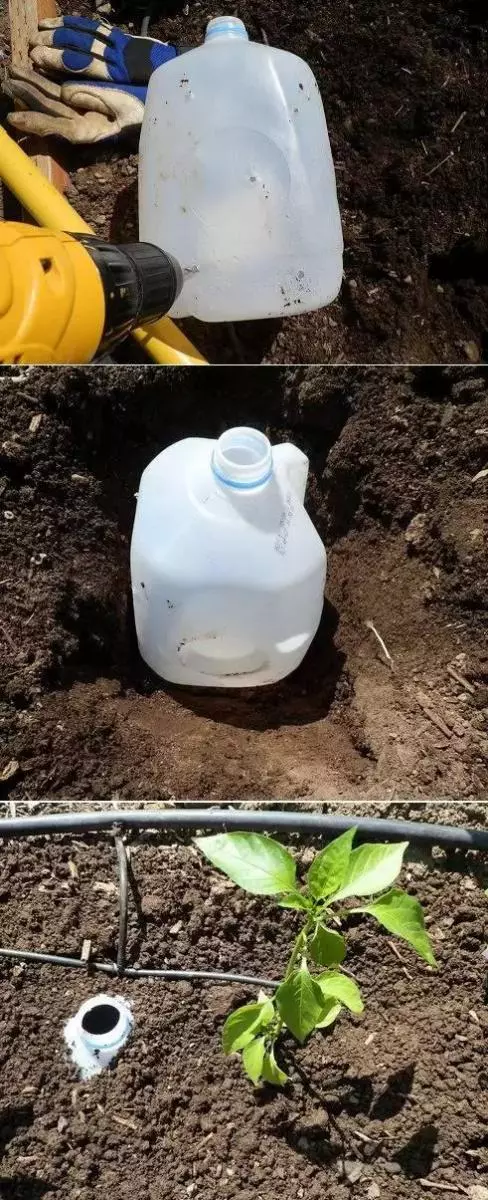 好用到哭了!這些家居器居然只要用一個「寶特瓶」...後悔知道晚了!快告訴媽媽!
